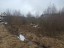 Продажа земельного участка Приозерск, 396