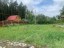 Продажа земельного участка Первая Алексеевка, Дом отдыха Щелково