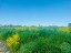 Продажа земельного участка Слапи