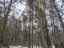 Продажа земельного участка Бор