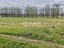 Продажа земельного участка Ославье