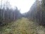 Продажа земельного участка Массив Петровское, Флора, к.нт