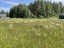 Продажа земельного участка Сосново