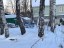 Продажа земельного участка Выборг, Октябрьская