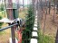 Продажа земельного участка Борисово