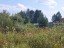 Продажа земельного участка Павловский Посад, Афанасовская