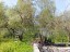 Продажа земельного участка Красное Село
