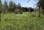Продажа земельного участка Красное Село, Лагерная, 12 корпус А