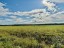 Продажа земельного массива Большое Забородье