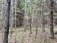 Продажа земельного массива Вещево поселок при железнодорожной стан