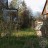 Продажа земельного участка Рощино, Здоровье, к.нт.