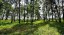 Продажа земельного участка Раменское