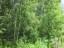 Продажа земельного участка Радофинниково