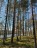 Продажа земельного участка Изори