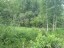 Продажа земельного участка Выборг, Младших Командиров