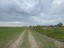 Продажа земельного участка Дятлицы