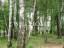 Продажа земельного участка Красногорск