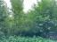 Продажа земельного участка Массив Моторное, Сосновый, к.нт