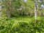 Продажа земельного участка Пупышево