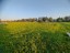 Продажа земельного участка Бегуницы