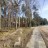 Продажа земельного участка Мичуринское, Больничная
