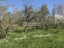 Продажа земельного участка Красное Село, Лагерная, 12 корпус А