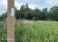 Продажа земельного участка Ромашки п ДПК Жемчужина