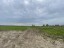 Продажа земельного участка Дятлицы