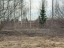 Продажа земельного участка Выборг, Младших Командиров