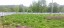 Продажа земельного участка Можайск, Бородино, Лесная