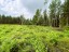 Продажа земельного участка Массив Замостье Замостье-3