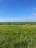 Продажа земельного участка Михайловская