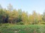 Продажа земельного участка Правдино