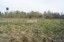 Продажа земельного участка Саба (Осьминское с/п)