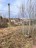 Продажа земельного участка Соколинское
