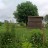 Продажа земельного участка Сяськелево, Зона огородов