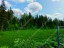Продажа земельного участка Мелечкино