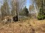 Продажа земельного массива Селезнево, Лесная