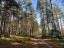 Продажа земельного участка Изори