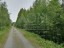 Продажа земельного участка Моторное