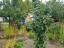 Продажа земельного участка Красницы