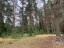 Продажа земельного участка Луга, Шалово