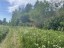 Продажа земельного участка Беличье