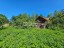 Продажа земельного участка Каменногорск, Выборгское, 33