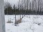 Продажа земельного участка Бор