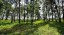 Продажа земельного участка Раменское