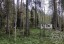 Продажа земельного участка Массив Сосново Флора, к.НТ
