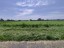Продажа земельного участка Шатура, Дубровка