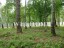 Продажа земельного участка Красногорск