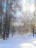 Продажа земельного участка Петровское, Сосновая